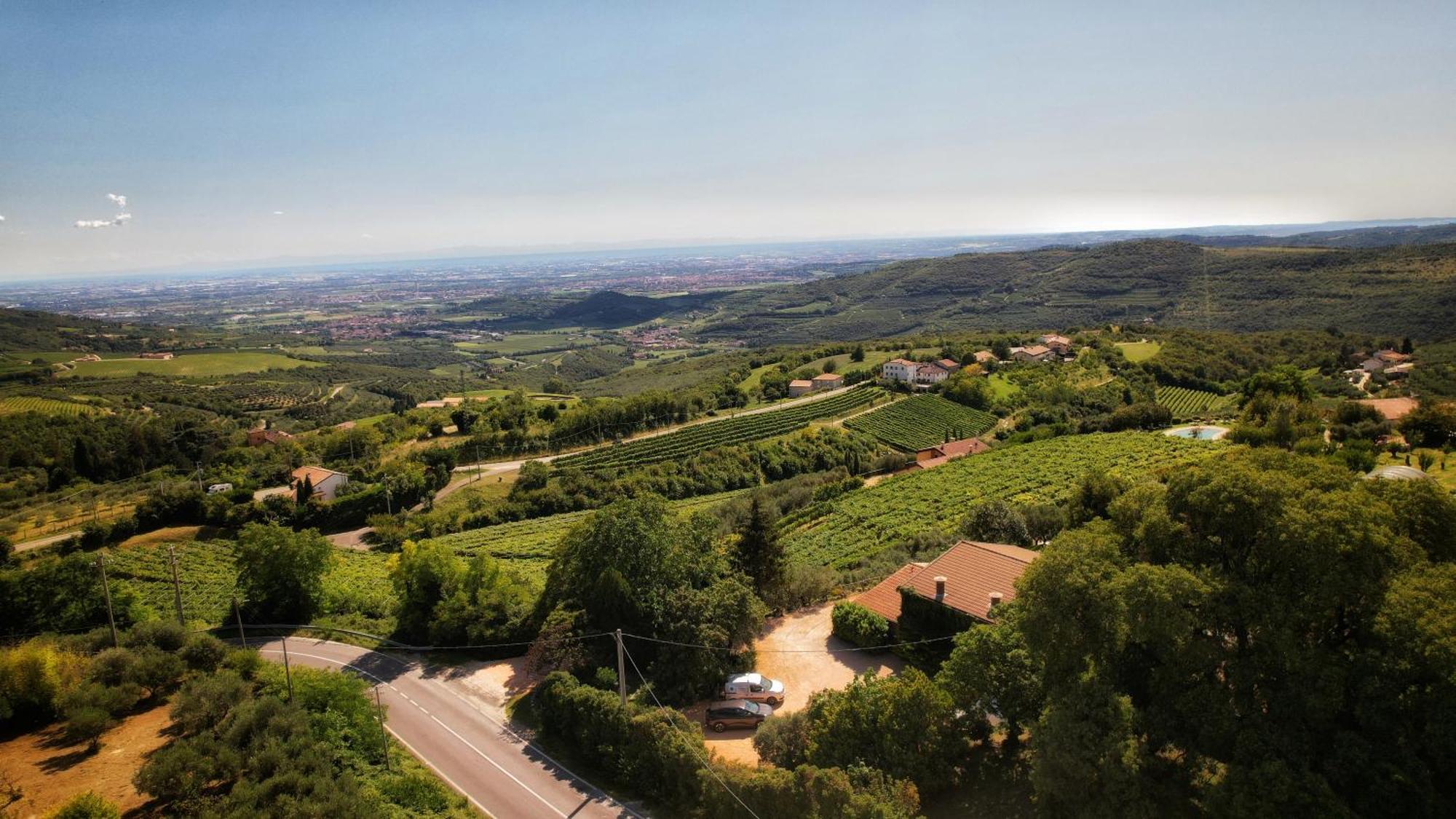 Agriturismo La Perlara - Adults Only Verona Eksteriør billede